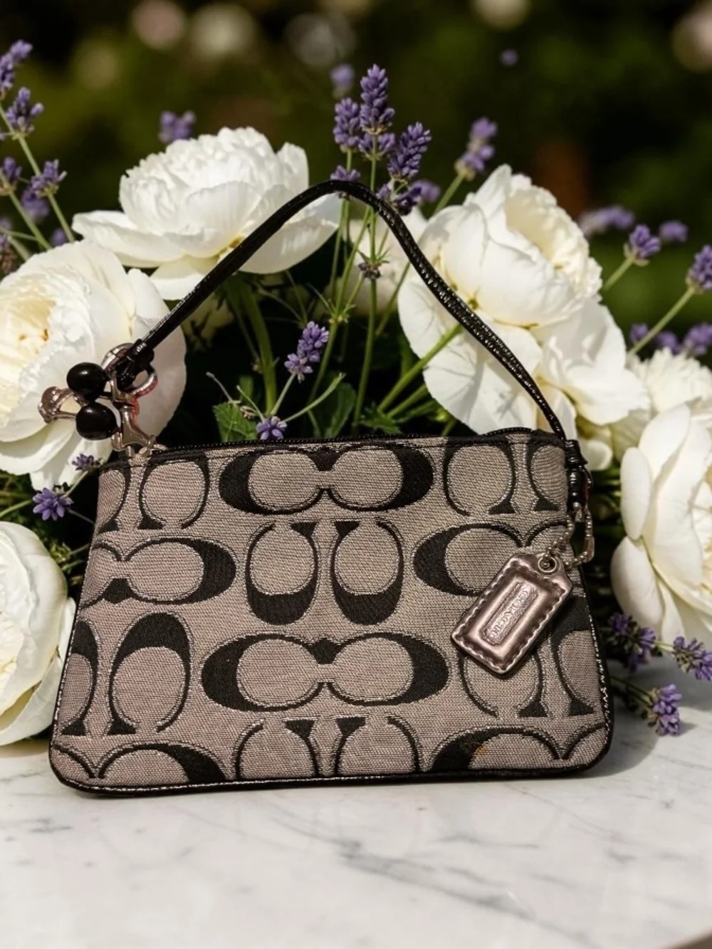 Coach signature canvas